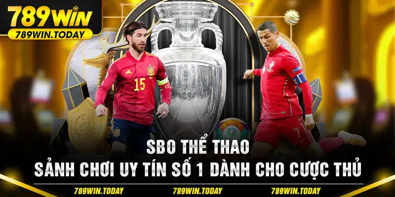 SBO Thể Thao - Sảnh Chơi Uy Tín Số 1 Dành Cho Cược Thủ