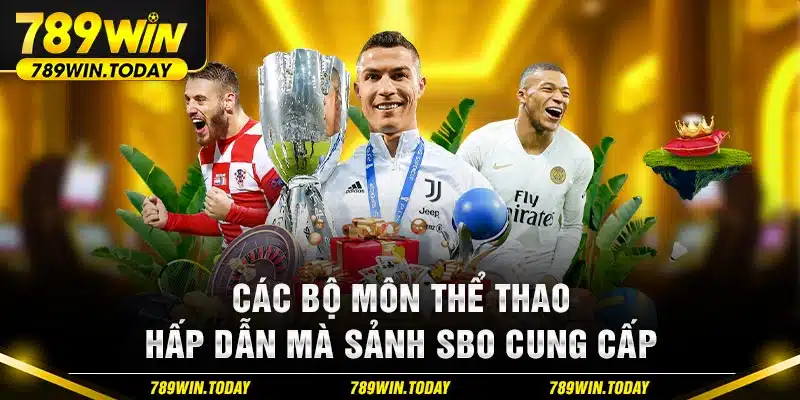 Các bộ môn thể thao hấp dẫn mà sảnh SBO cung cấp